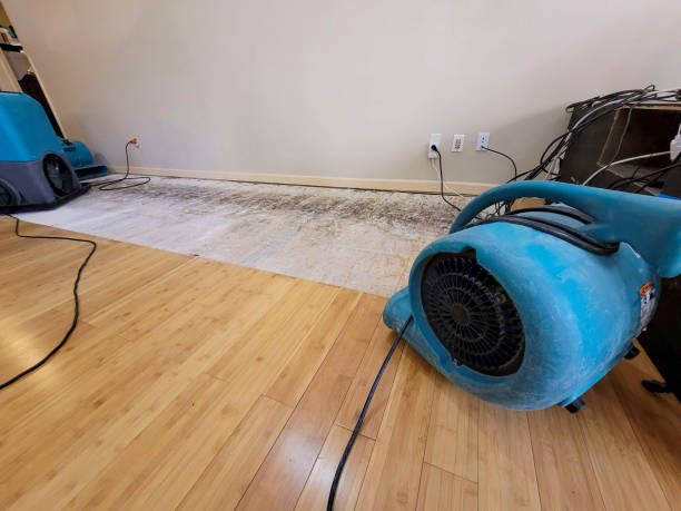 Professional Water Damage Repair technician working in Church Hill, MD